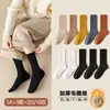 Calcetines Caomen para Mujer Calcetines de Tubo Medio Forrados de Felpa Engrosados Algodón Puro Calcetines de Invierno Moda Ins Calcetines de Algodón para Mujer Otoño e Invierno Tubo Largo