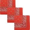 Lenço Quadrado Pequeno Floral Paisley Material Poliéster Lenço de Seda Feminino Decoração de Gola de Camisa Acessório Versátil