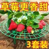Suporte de Plantio de Morango para Casa, Estrutura de Suporte Simples Anti-Podridão e Anti-Desfolhação, Rack de Bandeja de Flores para Jardinagem, Ferramenta Mágica