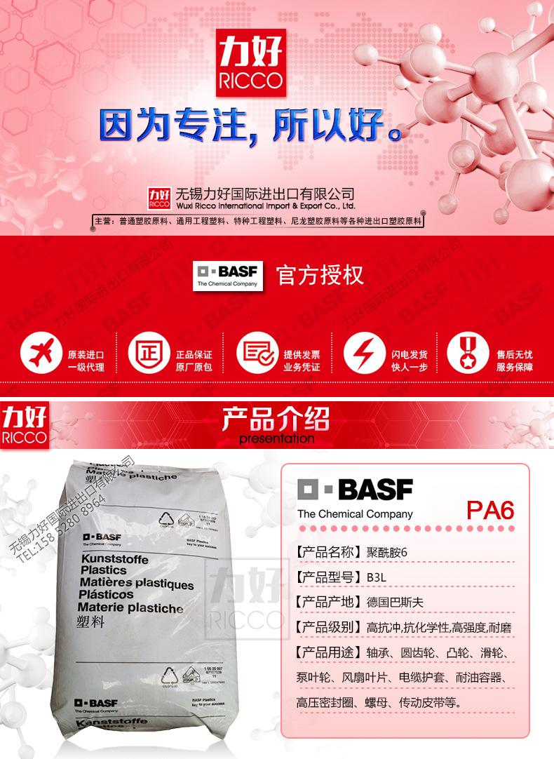 PA6德国巴斯夫B3L-内页.jpg