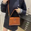2025 Otoño Nuevo Estilo Retro Casual Nicho Moda Bolso Cuadrado Pequeño Personalizado para Mujer Bolso de Hombro Cruzado Moderno