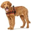 Correa para mascotas personalizable arnés para pecho para mascotas con visión nocturna a prueba de explosiones reflectante correa para perro cuerda para perro suministros para mascotas al por mayor