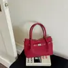 Bolso de Mano Pequeño Sencillo para Madre e Hijo Mujer 2026 Primavera Nuevo Estilo Moderno de Moda Estilo Callejero Bandolera Única Nicho Popular Bolso Cruzado