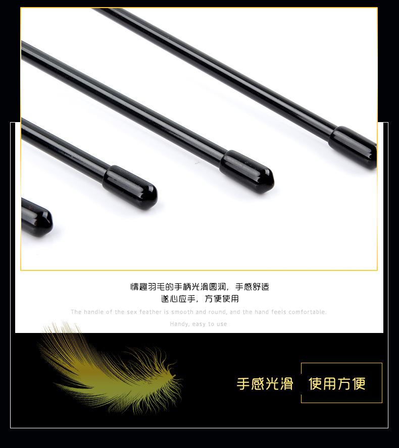 羽毛详情_09