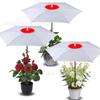 Sombrilla Popular Transfronteriza para Plantas de Amazon, Flor en Maceta, Sombrilla de Protección Solar, Aislada, Sombrilla de Protección para Plantas de Exterior en el Suelo