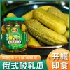 Pepinos encurtidos estilo ruso, Sabor ruso, Pepinos encurtidos comerciales listos para comer, Alivian la sensación grasosa, Combinan bien con las comidas, Pepinos para hamburguesas, Al por mayor