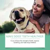 Yegbong Polvo Limpiador Dental para Perros Fórmula Suave Refresca el Aliento y Protege la Salud Bucal de tu Mascota Polvo Limpiador de Dientes