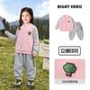 Conjunto de Roupa de Outono para Meninos: Jaqueta de Baseball e Calça de Moletom, Roupa Infantil, Conjunto de Duas Peças Macacão para Criança Pequena Tendência