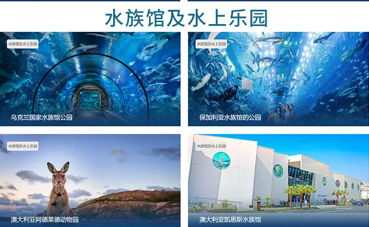 详5.jpg
