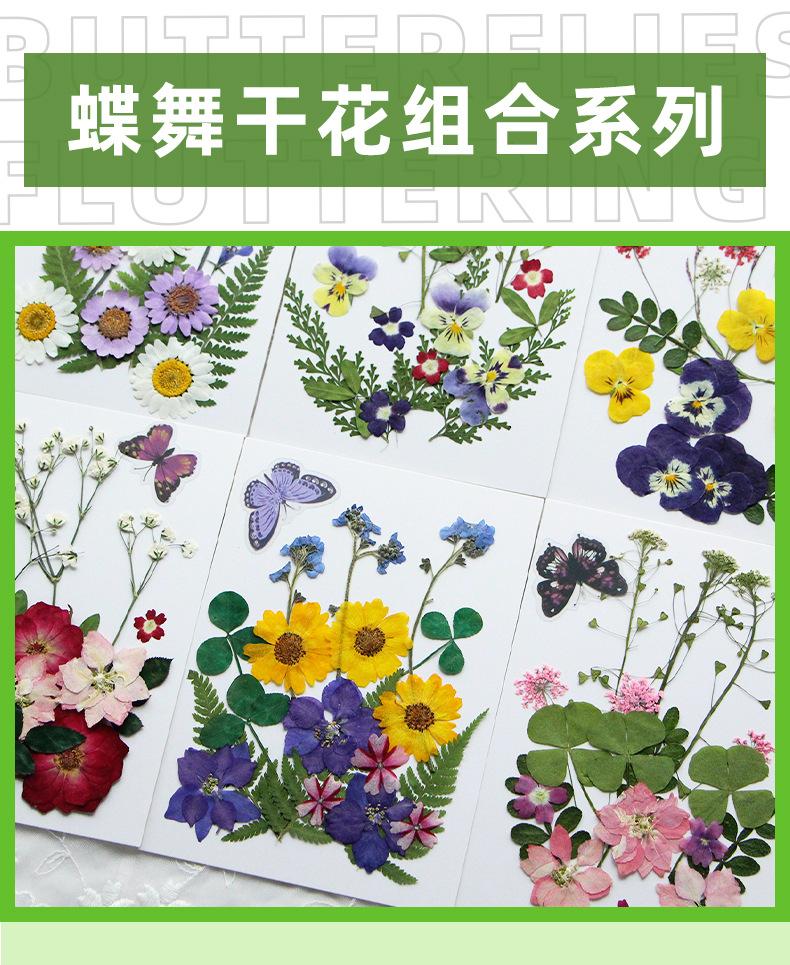 蝶舞系列详情页-恢复的_01.jpg