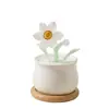 Adornos de Vidrio Zibo Oficina Flor de Narciso Artificial Maceta Decoración de Escritorio Flor Eterna Exhibición de Flores Falsas