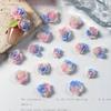 Bolsa de material para decoración de uñas en dos colores azul y rosa, estilo Ins, con explosiones luminosas mixtas y adornos tridimensionales de camelia.