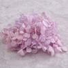 Pacote de hortênsia de madeira de flor eterna faça você mesmo, flor real, dia dos namorados, hortênsia de madeira, presente de aniversário, fábrica de outlet