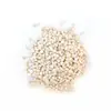 Fruta Blanca Pequeña, Ricino, Flor Eterna, Flor Seca, Ramo del Amazonas, Paquete de Materiales de Flores para Manualidades, Ramo al Por Mayor, Flor Seca de Yunnan