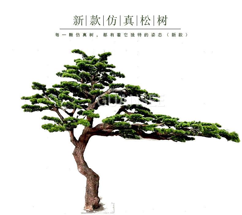 描述图_1.jpg