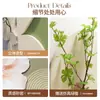 Estilo Crema Verde Nórdico Bosque de Plantas Dormitorio Restaurante Arena Pintura Colgante Decoración Creativa