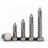 Acero Inoxidable 304 Hexagonal Externo Británico y Americano Rosca Completa Autorroscante Rosca para Madera Din571 Media Rosca Tornillo para Madera M6M8M10M12