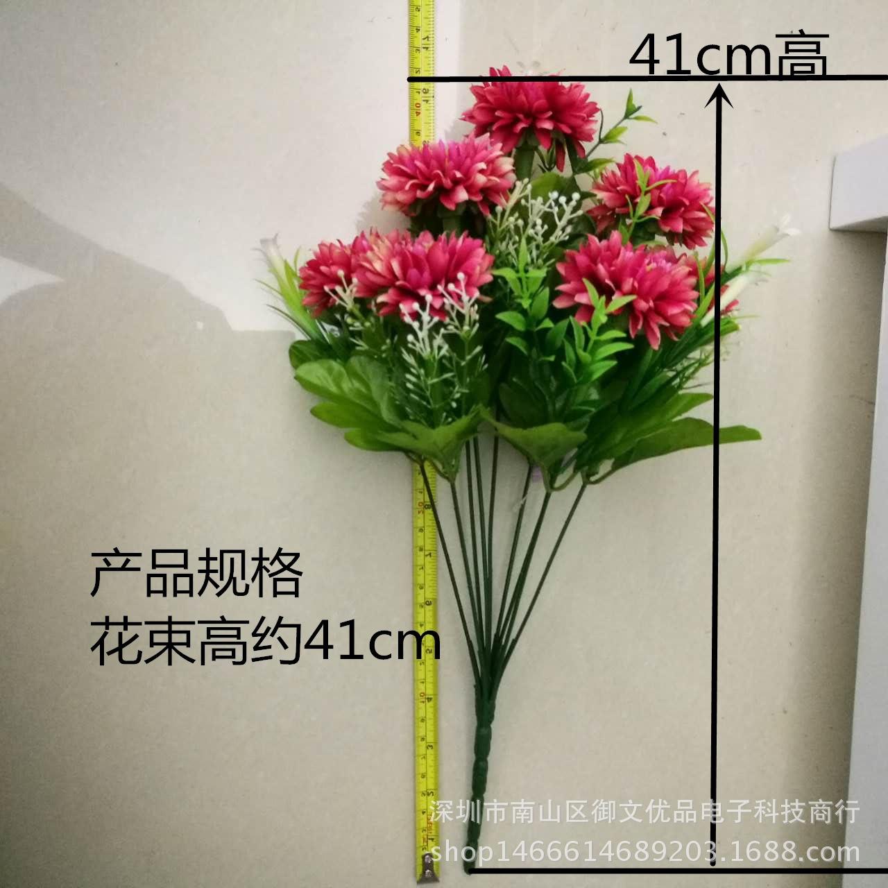 9头绿百合海葵 高度_副本