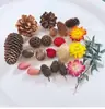 Fruta Fixa Natural Planta Fruta Casca Espécime Material Decoração Flores Secas Fatias Jardim de Infância DIY Pacote de Material de Natal