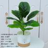 Conjunto de Mesa Estilo Nórdico Plantas em Vasos Atacado Decoração de Interiores Flores Plantas Verdes Enfeites Bonsai de Chão Bonsai Verde Simulado