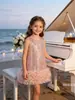Vestido de Lantejoulas para Meninas Vestido de Princesa Transfronteiriço Sem Mangas Saia em Camadas Tule Fofo Vestido Formal Infantil Saia de Aniversário