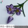 Tulipa Flor de Três Pétalas Duas Folhas Tulipa Florindo Cinco Flores Decoração de Sala de Estar em Casa Flor Artificial Flor de Casamento Obra de Arte Flor de Seda