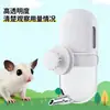 Dispensador de Agua para Petauro del Azúcar, Cápsula Colgante Decorativa Dedicada para Loro y Hámster Dorado, Suministros de Botella de Agua