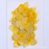 Hortênsia Embossada Flor Seca Planta de Pão Espécime Marcador de Página Artesanal Infantil Cartão Postal Flor Seca Maquiagem diy Material de Cola de Gota