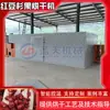Secador de frutos de Taxus chinensis vino Frutos secos de Taxus chinensis Sala de secado de hierbas medicinales chinas Equipo de secado de frutos de vino espumoso de tejo