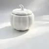 Creativo Calabaza de Halloween Cerámica Mini Tarro de Té Almacenamiento Sellado Polvo Fragante Polvo Medicinal Vaso para Vela Contenedor de Aromaterapia