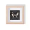 Especímenes de Mariposas Reales Raros y Preciosos (Mariposa Pavo Real) en un Marco, Decoración Moderna de Madera para el Hogar, Decoración Creativa de Mesa