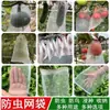 Capa respirável de melão amargo anti-pássaros saco de malha para pepino saco à prova de insetos gaze Tai Bao capa densificadora para melão e frutas pepino amarelo