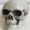 Halloween transfronterizo simulación forma de calavera partes a granel hueso calavera cámara de escape horror atmósfera diseño
