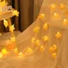 Cordão de Luz Estrela Rachada LED Bola Redonda Luz Piscante Luz Decorativa para Quarto Dormitório Adereços para Fotos de Fundo de Casamento