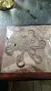 Correas Clasificadoras Auxiliares para Ramas de Jardinería, Decoración de Vegetación, Estante Recolector de Tallos de Plantas W387