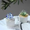 Suculentas simuladas de esmalte de color transfronterizo en maceta, pequeños adornos, escritorio de oficina, plantas verdes, flores, artesanías de vidrio, regalos