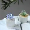 Zibo Esmalte de Color Simulación Plantas Verdes Carnosas Flores Artesanías de Vidrio Regalo Planta en Maceta Adornos Pequeños Escritorio de Oficina
