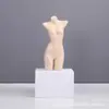 Maniquíes de Exhibición para Reunir Sujetadores, Maniquíes de Medio Cuerpo Masculino y Femenino para Sujetadores y Ropa Interior, Perchas de Maniquí para Trajes de Baño, Soportes de Exhibición
