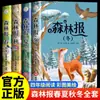 Periódico del Bosque Primavera, Verano, Otoño e Invierno Edición Completa, 4 Volúmenes de Libros de Lectura Extracurricular Genuinos para Niños de Literatura Infantil para Grados 1, 2 y 3