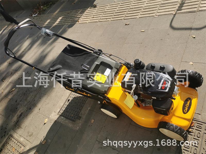 卡博科德草坪机割草机 (1)