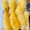 Durian Musang King Tailandês, Grau A, Amadurecido na Árvore, com Sementes, Polpa de Durian Congelada, Ingredientes Especiais para Buffet de Durian Assado, Atacado