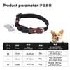 Coleiras de Gato Cuidadosamente Selecionadas, Coleiras, Guizos, Coleiras de Cachorro, Acessórios para Filhotes, Florzinhas Fofas, Ajustáveis e Personalizáveis com Gravação