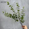 Planta Artificial Folha de Dinheiro 3 Pontas 5 Pontas Impressa em 3D Eucalipto Decoração de Interior para Casa Planta Verde Arranjo de Flores Enfeites