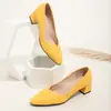 Zapatos de tacón de bloque estilo francés para mujer, Nuevos zapatos de noche estilo hada para Primavera y Otoño 2025, Zapatos elegantes de tacón medio para el trabajo