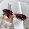 2025 Nuevas Gafas de Sol de Moda Europeas y Americanas Estilo Ins Ojo de Gato para Fotografía Callejera y Conducir Gafas de Sol con Patillas de Remache Dorado para Mujer Tendencia