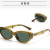 Gafas de Sol Polarizadas Plegables Estilo Coreano Ojo de Gato, Protección Ocular de Alta Definición, Protección Solar, Gafas de Sol con Protección UV, Gafas de Sol Estilo Callejero de Celebridad de Internet
