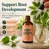 KineShineX Solución de Cuidado Fortalecedor de Raíces para Plantas Verdes es una conveniente solución de cuidado complementario para el mantenimiento y cuidado de las raíces de plantas verdes de interior y exterior