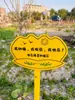 Etiquetas para Plantas de Jardín de Madera Maciza, Señales de Suelo de Madera, Señales Indicadoras para Exteriores, Señales de Aviso para Huertos Escolares de Jardín de Infancia