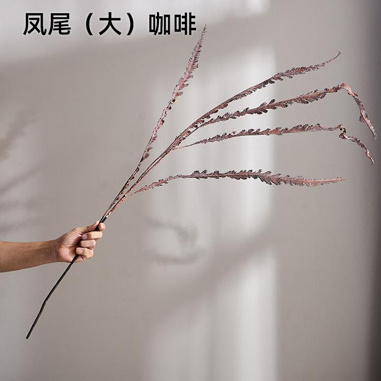 凤尾（大）咖啡
