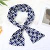 2023 Últimas Estrelas Mesmo Estilo Estreito Longo Pequeno Lenço Feminino Estilo Primavera Elegante Cachecol Decorativo para Todos os Fósforos
